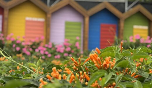 キャメロンハイランドは行く価値ある？マレーシア在住者のリアルな体験談