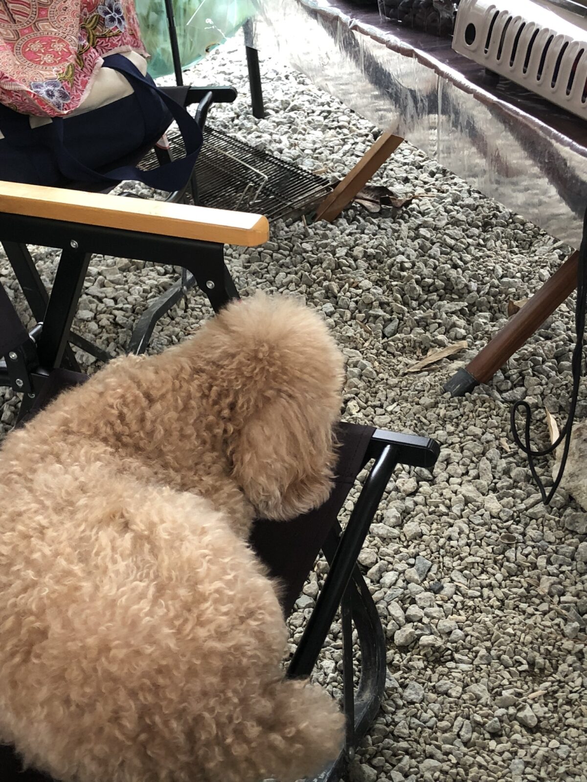 キャメロンハイランド グランピング