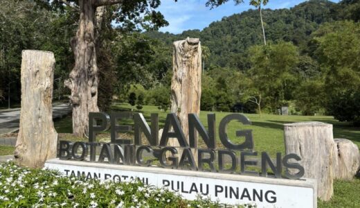 ペナン植物園の朝散歩｜花の枝で遊ぶ子ザルに足が止まった話