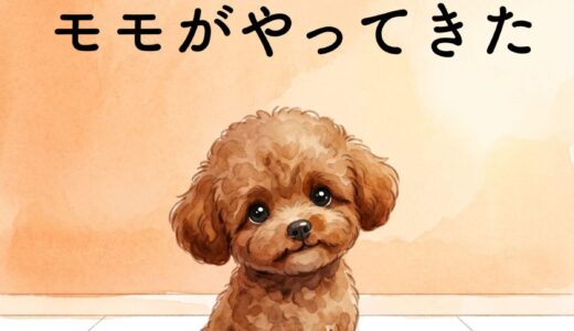 犬と猫の絵本『モモとハッピー』全5巻｜AIで作った読み聞かせ絵本【Kindle】